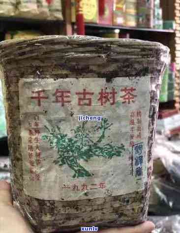 九十年代阿里古树樟香普洱茶：一独特的价格与品质之旅