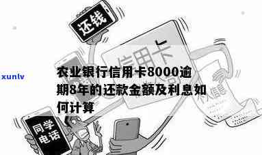 农业银行信用卡8000逾期后的还款策略与解决 *** 