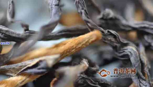 云南滇红茶标准详解：执行标准与特点