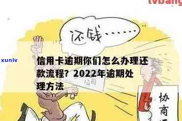 2022年信用卡逾期还款全攻略-最实用的处理流程与政策解读