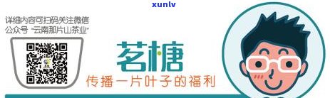 全面了解八大山普洱茶：官方网站提供最新资讯、品鉴技巧和购买方式