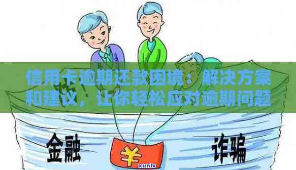 信用卡逾期债务解决方案公司推荐：全面解决用户信用卡还款困扰