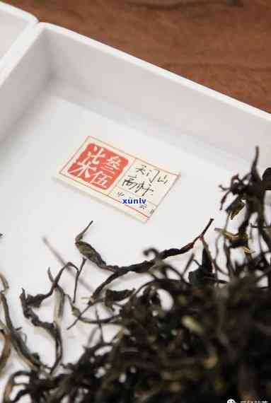 易武茶区普洱茶精品推荐：品鉴高品质茶叶的极指南