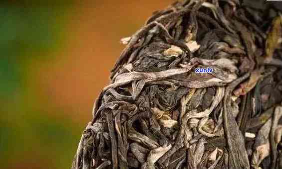 探究普洱毛茶：黑茶中的另类瑰宝，与普洱茶、生茶工艺的区别与联系