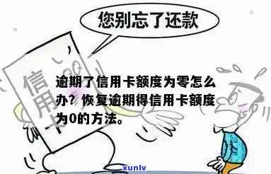 逾期后信用卡额度归零的救赎：信用修复策略与恢复指南