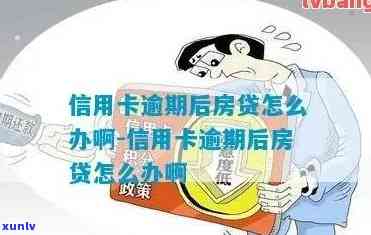 从信用卡逾期到成功申请房贷的7步攻略