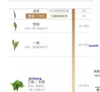 普洱茶叶几级喝？普洱茶茶叶等级1至9级哪个好？普洱茶叶分几级？