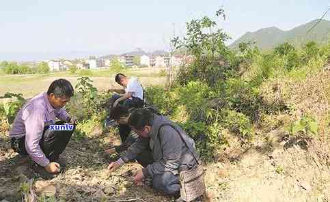 信用卡逾期的补救措：方案解析与实践策略