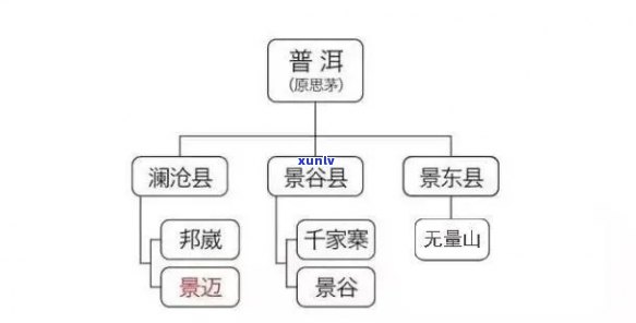 滇红产地详细解析：哪个省份拥有这种著名红茶的起源地？