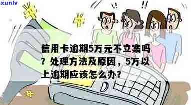 信用卡逾期5万被立案了，我该如何解决？逾期后的相关处理办法和建议全解析