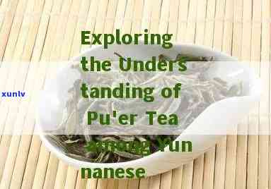 Summary in one sentence: Defining Pu'er tea.