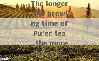 Summary in one sentence: Defining Pu'er tea.