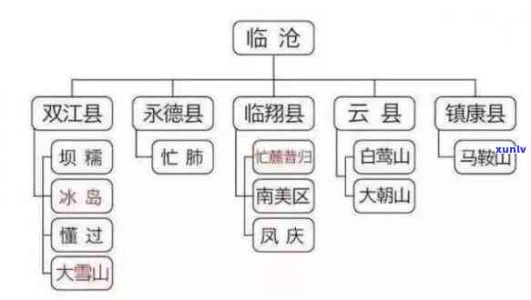 普洱茶的主要四大产区及其特色介绍