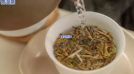 普洱茶之一泡闷一下能喝吗？普洱茶之一泡要倒掉吗？普洱茶之一泡闷多久？