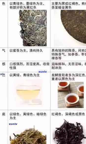 探寻小班章：普洱茶的生熟之分及价格解析