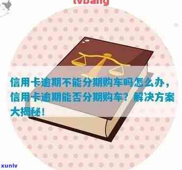 信用卡逾期后如何购买车辆并实现分期付款，解答用户疑问