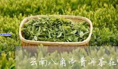 云南八角亭普洱茶叶网上探索普洱茶的口感与知名度