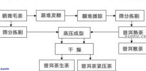 普洱茶转性的环节
