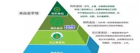 普洱茶叶认证过程：探究其是否属于有机食品