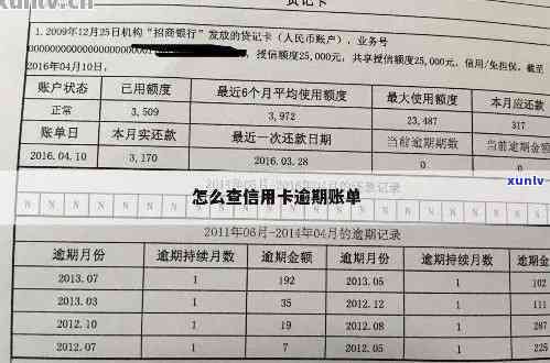 林信用卡逾期处理地点查询