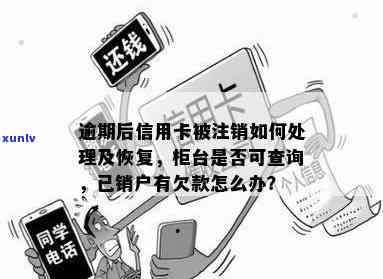 信用卡逾期销户后如何重新分期还款？全面解析解决用户常见问题