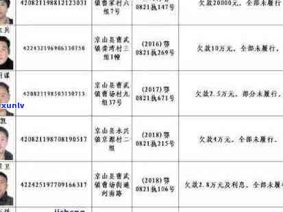 疏附县信用卡逾期名单公布：失信被执行人曝光，法院助力解决信用问题