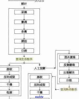 探究普洱熟茶发酵过程中的关键因素与作用机理