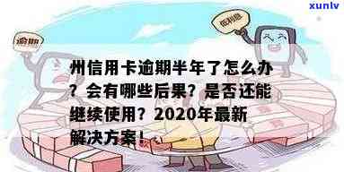 州信用卡逾期问题解决方案及提醒函详细解读