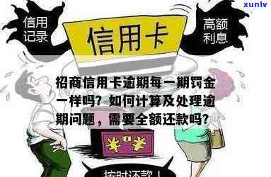 信用卡逾期追缴全额利息是否合法？如何处理？