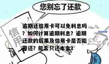 信用卡逾期一年未还款的利息损失：如何计算避免额外费用？