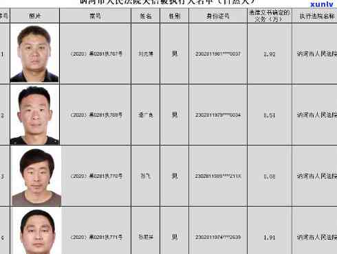 河间市信用卡逾期人员名单公示及查询