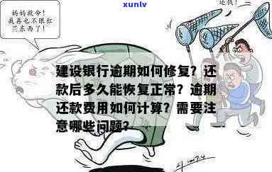 逾期还款后，建行信用卡多久能恢复正常使用？需要还清全部欠款吗？