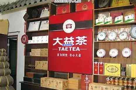 泉州普洱茶如何加盟的店，福建泉州普洱茶大益专卖店地址