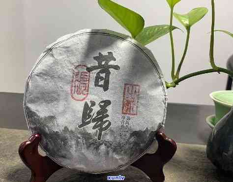 探索十大名牌普洱茶：高端茶品的独特魅力与价值