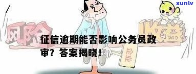 逾期对政审的影响及解决办法全面解析