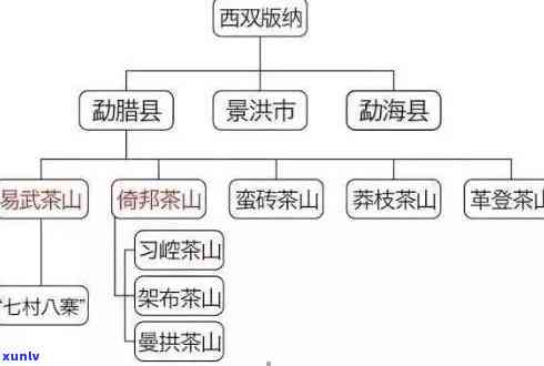 什么普洱最有名气的产地与品种