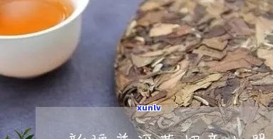 新疆普洱茶加盟条件要求：详细解析与加盟优势