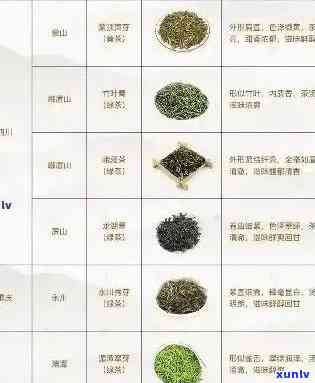 普洱茶品种及其特点一览表：全面了解各种普洱茶的分类、品质和功效