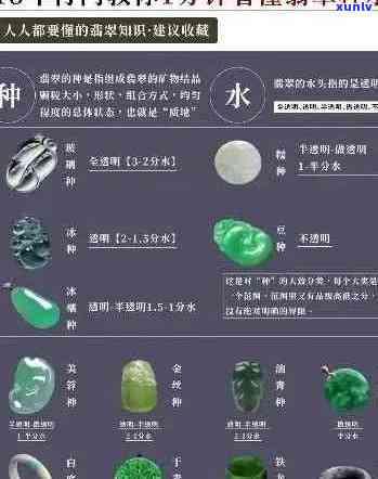 翡翠、珠宝与玉石：专业术语解析与鉴赏知识大揭秘