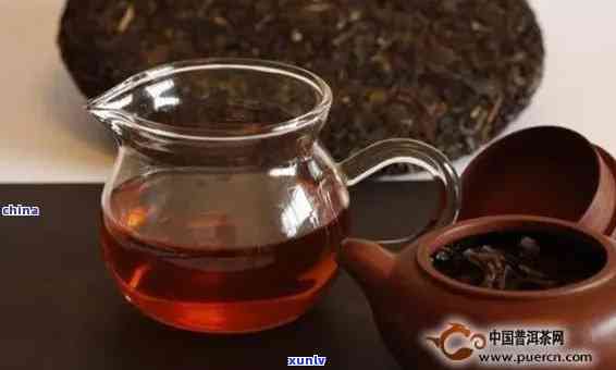 普洱茶冲泡：一次放入多少茶叶最合适？