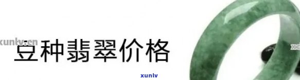 菏泽地区豆种翡翠原石价值解析：详细价格比较与市场行情探讨