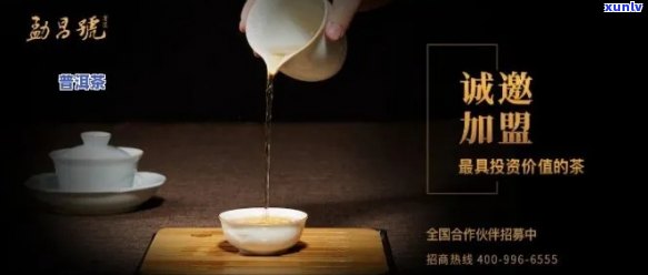 合肥普洱茶招商加盟热线：一站式茶叶投资解决方案