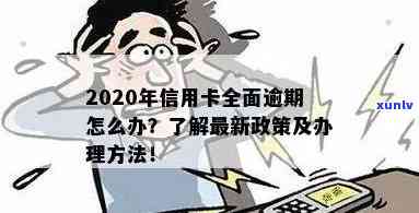 2020年信用卡逾期新政策：全面解析，掌握信用额度提升秘