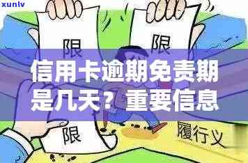 信用卡逾期免责的条件：当信用卡逾期时，哪些情况可以免除责任？