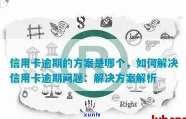 逾期信用卡负债解决方案：最新指南与实用技巧