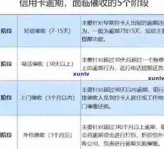 逾期信用卡负债解决方案：最新指南与实用技巧