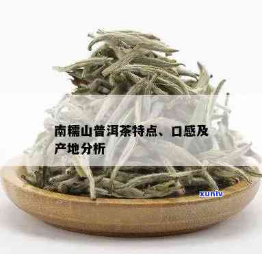 南糯山普洱生茶特点