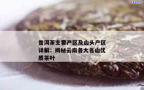 云南普洱茶产区特色茶叶口感解析：各山头品种口味特点详述