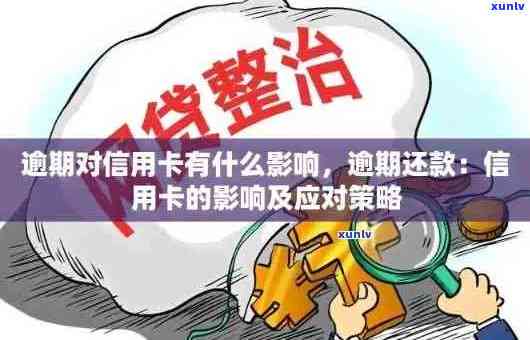 信用卡逾期三次的影响与后果：详细解析及应对策略