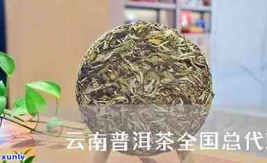 云南普洱茶 *** 加盟